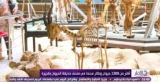 الاخبار - متحف حديقة الحيوان... أكثر من 2200 حيوان وطائر محنط فى متحف حديقة الحيوان بالجيزة
